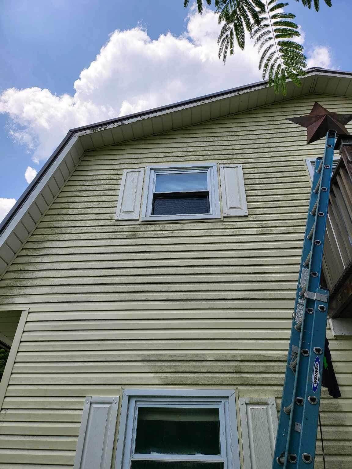 Residential Power Washing - Before